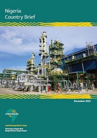 Nigeria intelligence overview